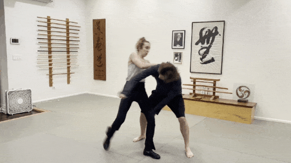 Takedowns & ACROfights for Returning Performers