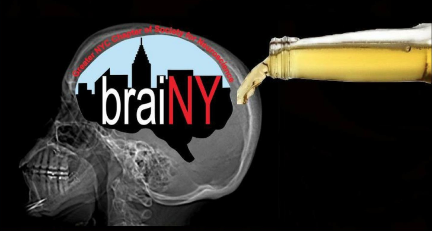 Pregame Your Brain:Your Brain on Sex,Drugs,Rock n’ Roll
