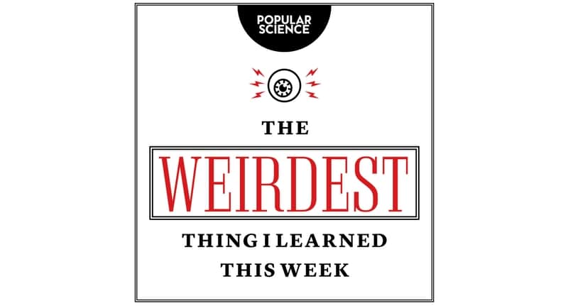The Weirdest Thing I Learned This Week