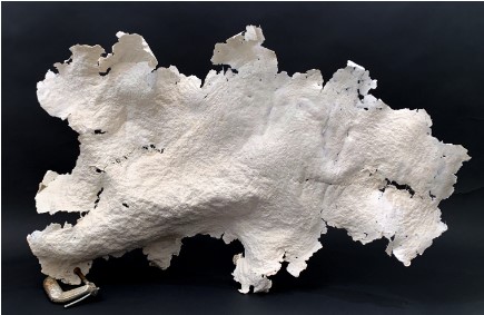 Working with Paper Pulp Workshop Series