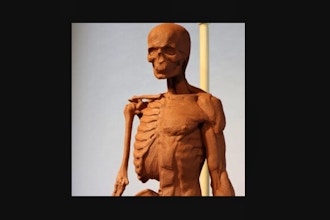 Sculpture: Figure Construction & Anatomy