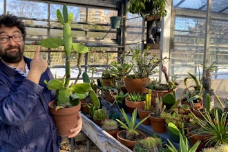 Greenhouse Gossip: Succulents & Cacti