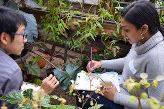 Watercolor Workshop: In the Greenhouse