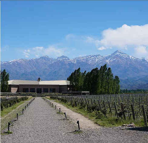 Cool Climate Wines of Argentina