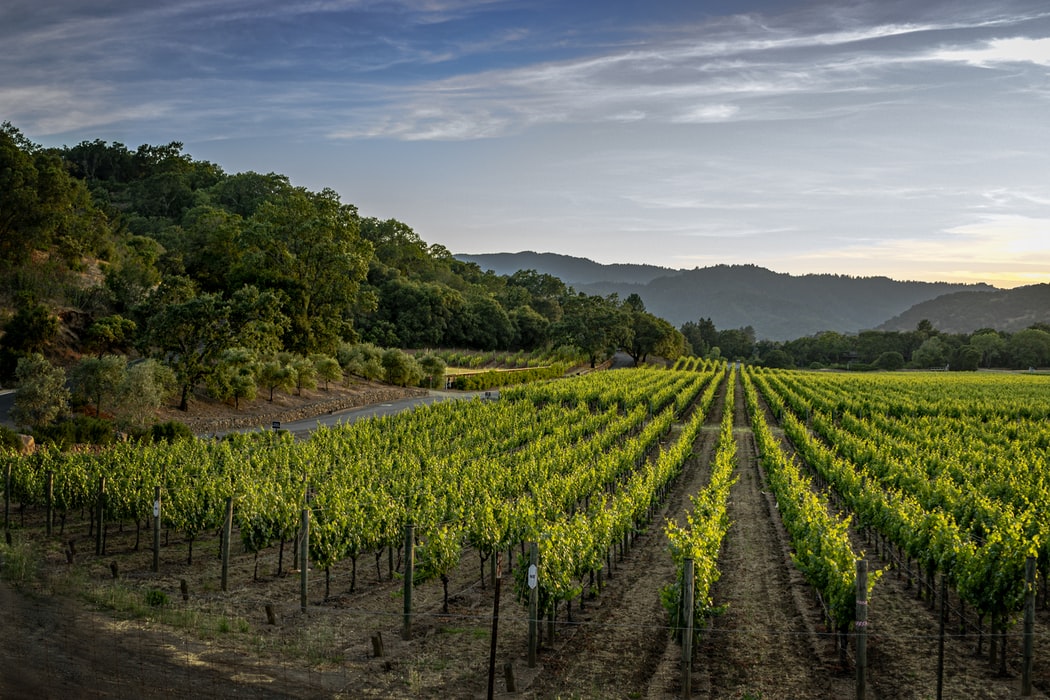 Hudson Valley Wine Trail