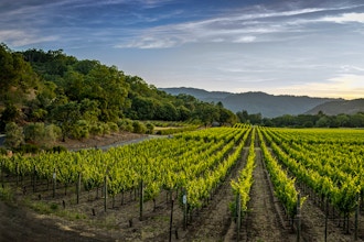 Hudson Valley Wine Trail