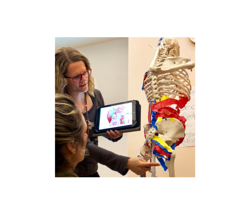 Functional Anatomy