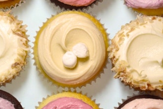 Cupcake Classes Nyc New York Coursehorse