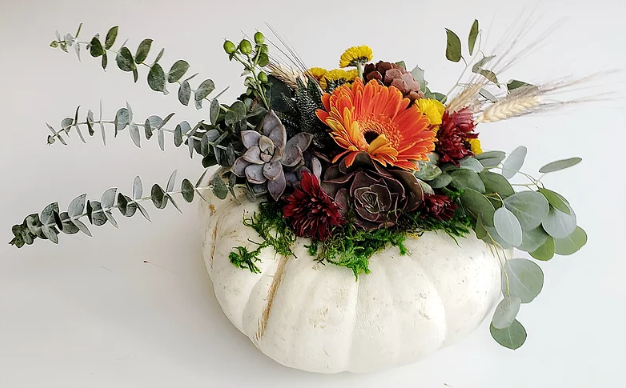 Fall Pumpkin Succulent