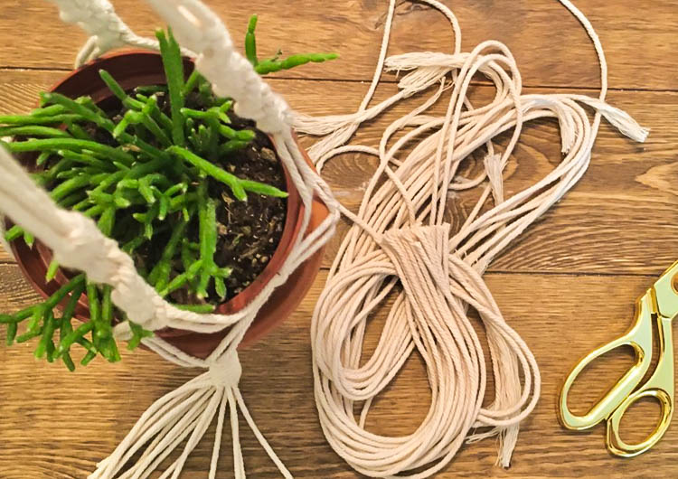 Macrame Plant Hanger