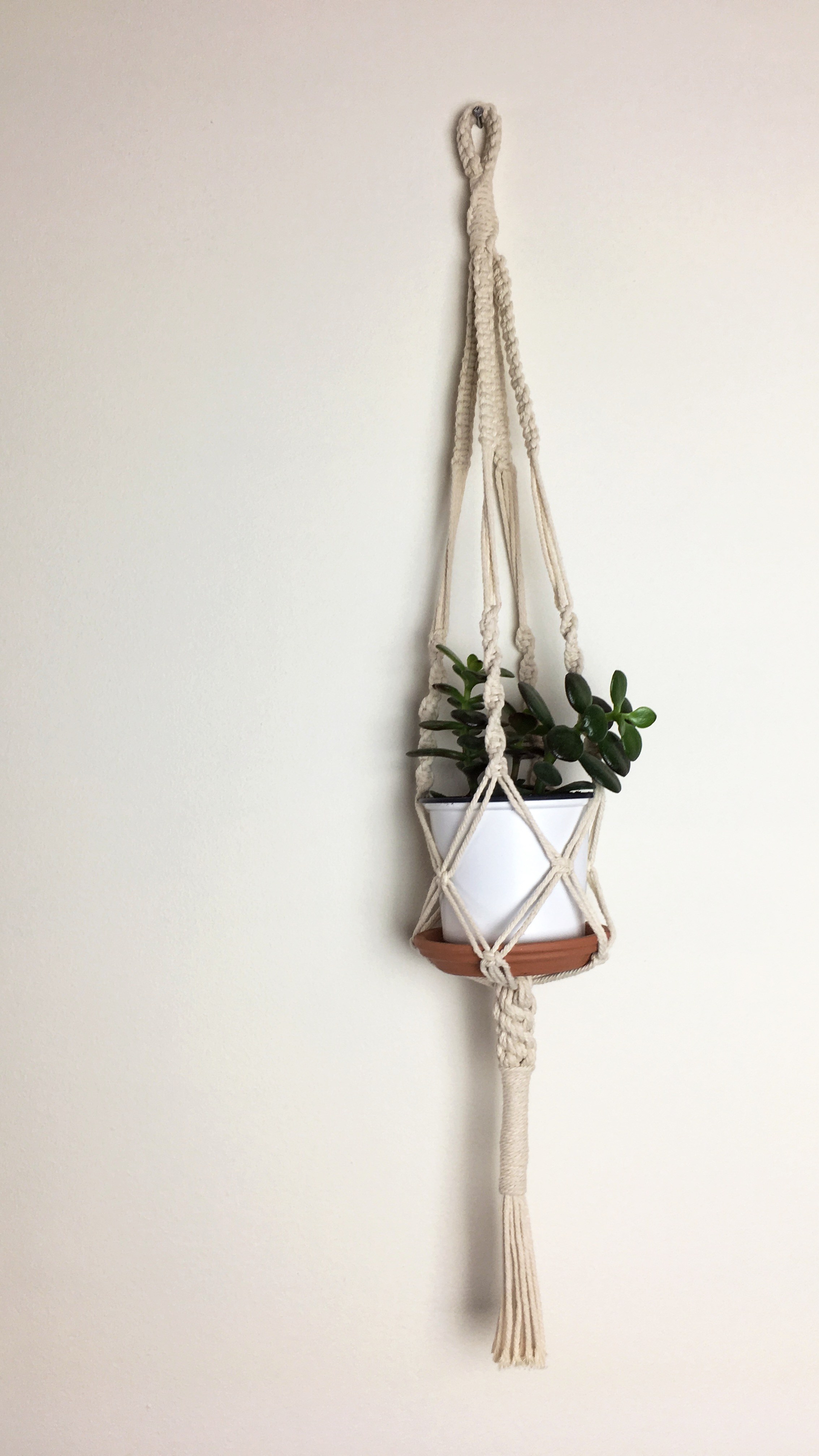 Macrame Plant Hanger