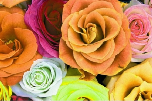 Watercolor Florals (Intermediate)
