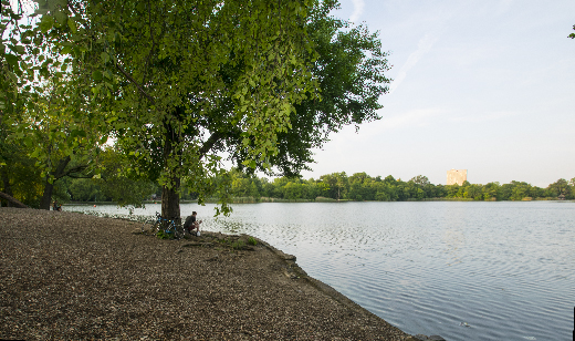 Painting-in-the-Park