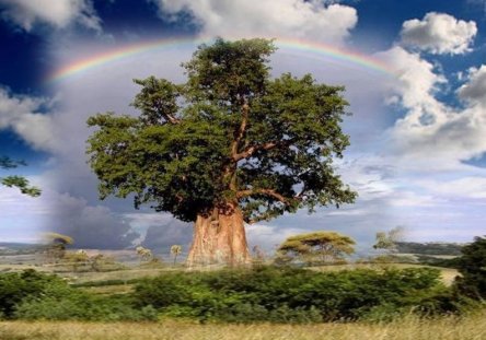 The MedicineWay Healing Circle