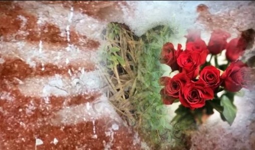 Abre El Camino & Rose Blessing to Open the Path for 2025 New Year