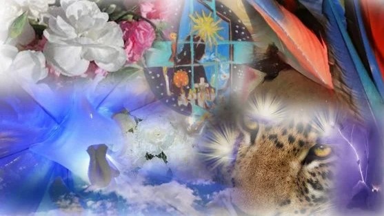 The Allies of the Balaam Jaguar Wives