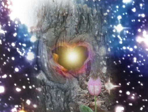 Soul Retrieval Journey of Empowerment