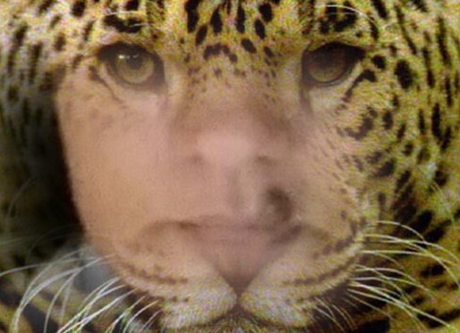 Sacred Balaam Jaguar Medicine Series