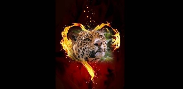 The Heart of the Jaguar Spirit