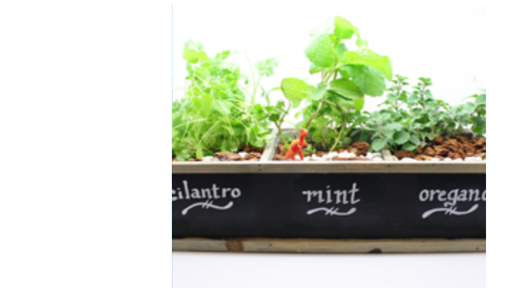 Plant Nite Herb Garden In Chalkboard Planter Terrarium Classes
