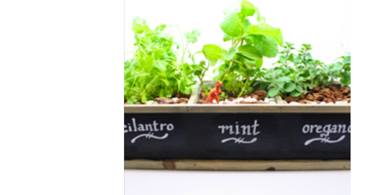 Plant Nite Herb Garden In Chalkboard Planter Terrarium Classes
