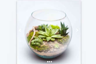 Plant Nite: Glass Succulent Terrarium III