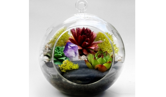 Plant Nite: Hanging Glass Globe w/ Large Black Rocks