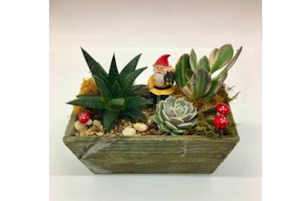 Plant Nite: Gnome Home