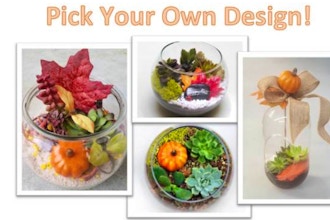 Plant Nite: Pick Your Own Fall Design
