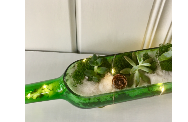 Plant Nite: Wine Bottle Terrarium w/ Fairy Lights
