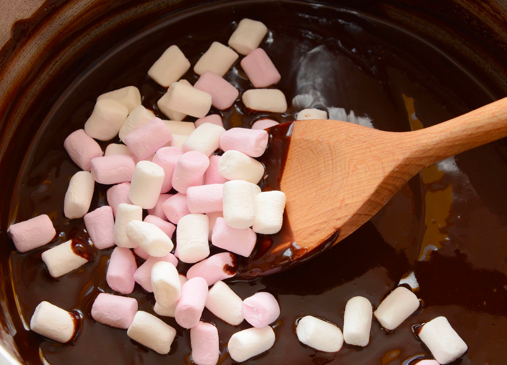 Chocolate Lovers (Ages 4-8) (1-Day Campers)