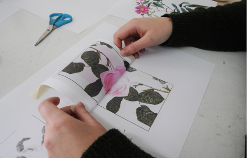 Image Transfer and Collage Workshop