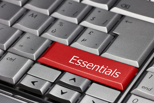 Essential Computer Skills: Computer and MS Word Basics