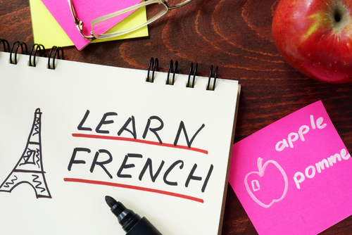 French: Beginner