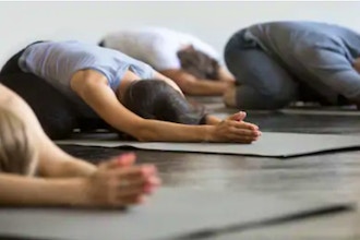 Kripalu Yoga Beginner