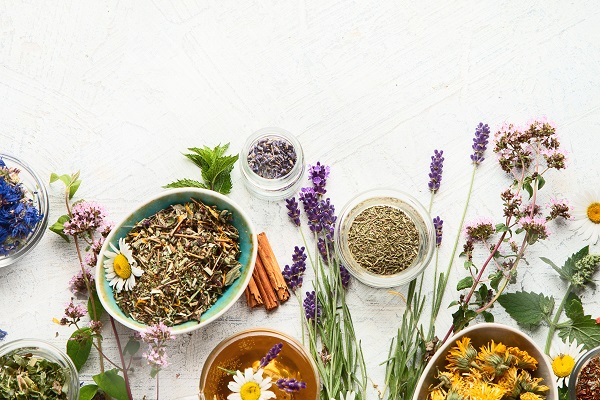 Herbal Allies for Immune Support - Online