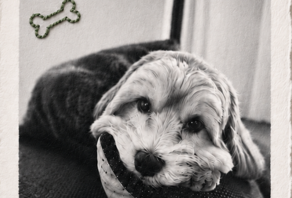 Embroidered Photographs