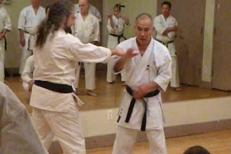 Traditional Okinawan Goju-Ryu Karate - All levels