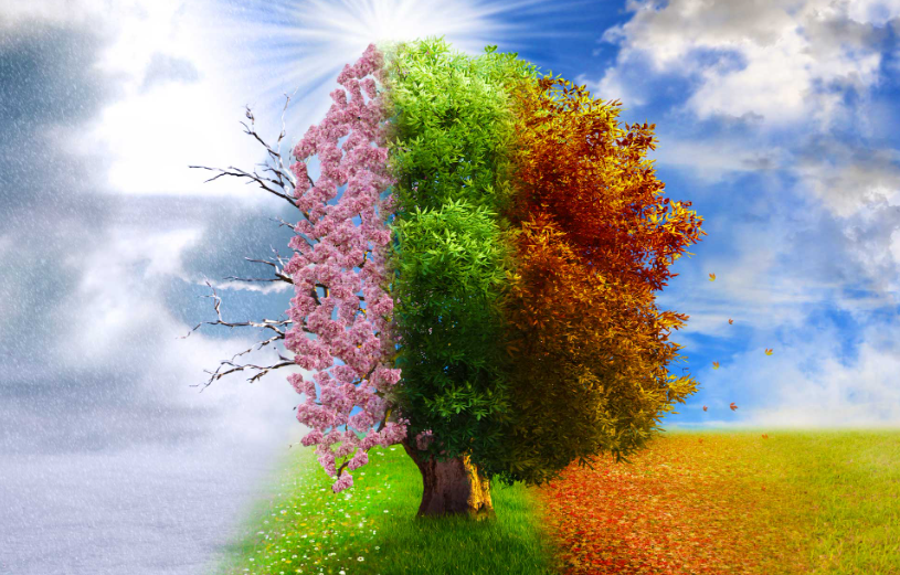 Ayurveda & Seasonal Living : Ritucharya