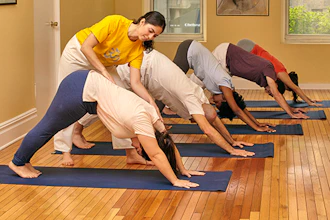Surya Namaskar Sun Salutation Yoga Classes New York