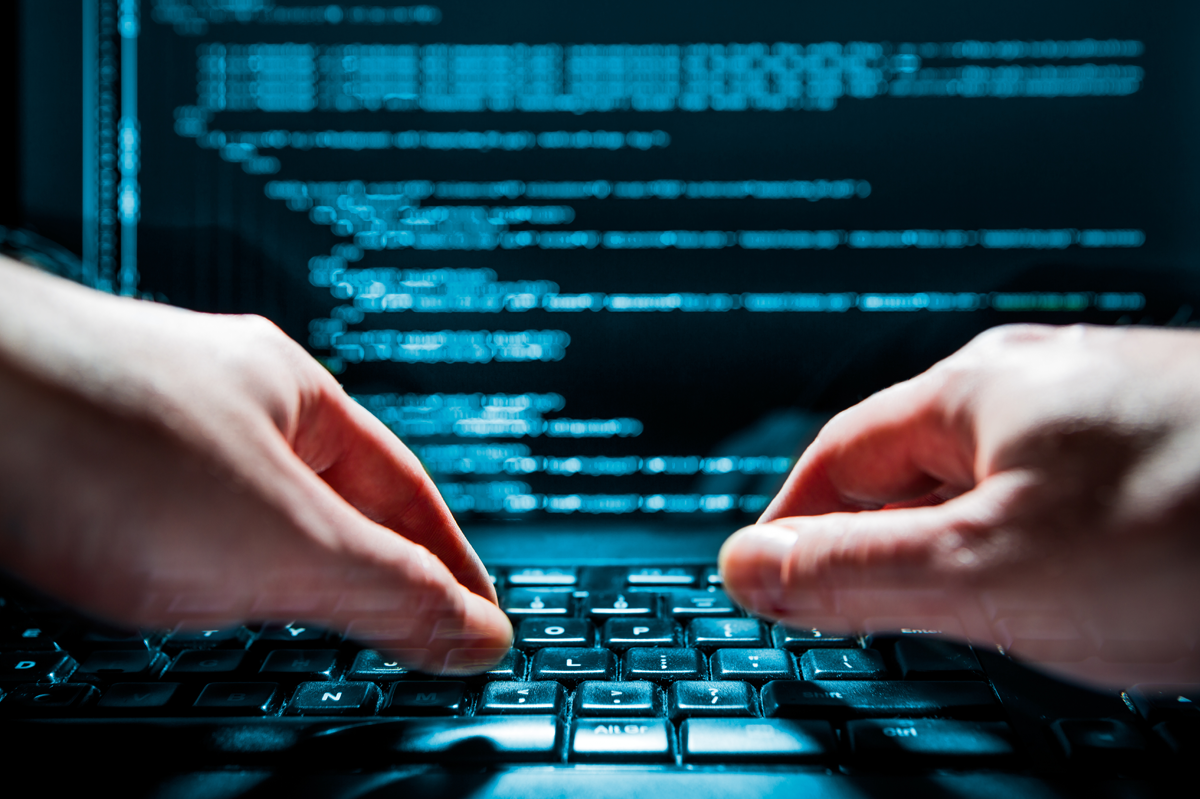 Microsoft .NET Developer Bootcamp: VB.NET