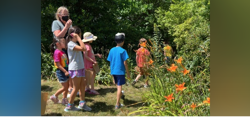 Nature Discovery Studio