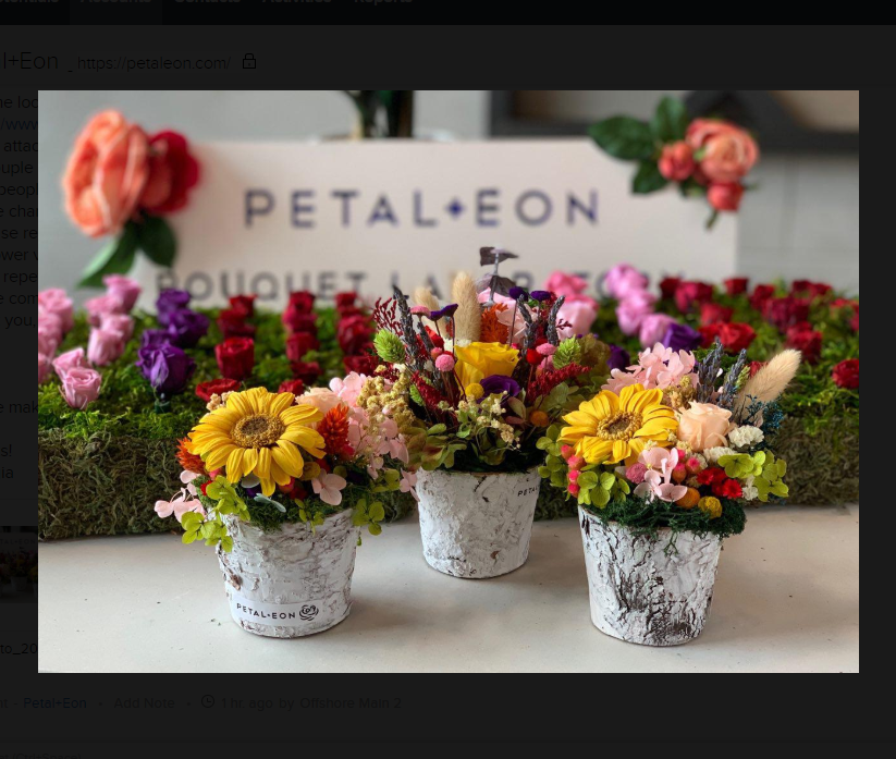 Make a DIY Floral Arrangement that Lasts a Year