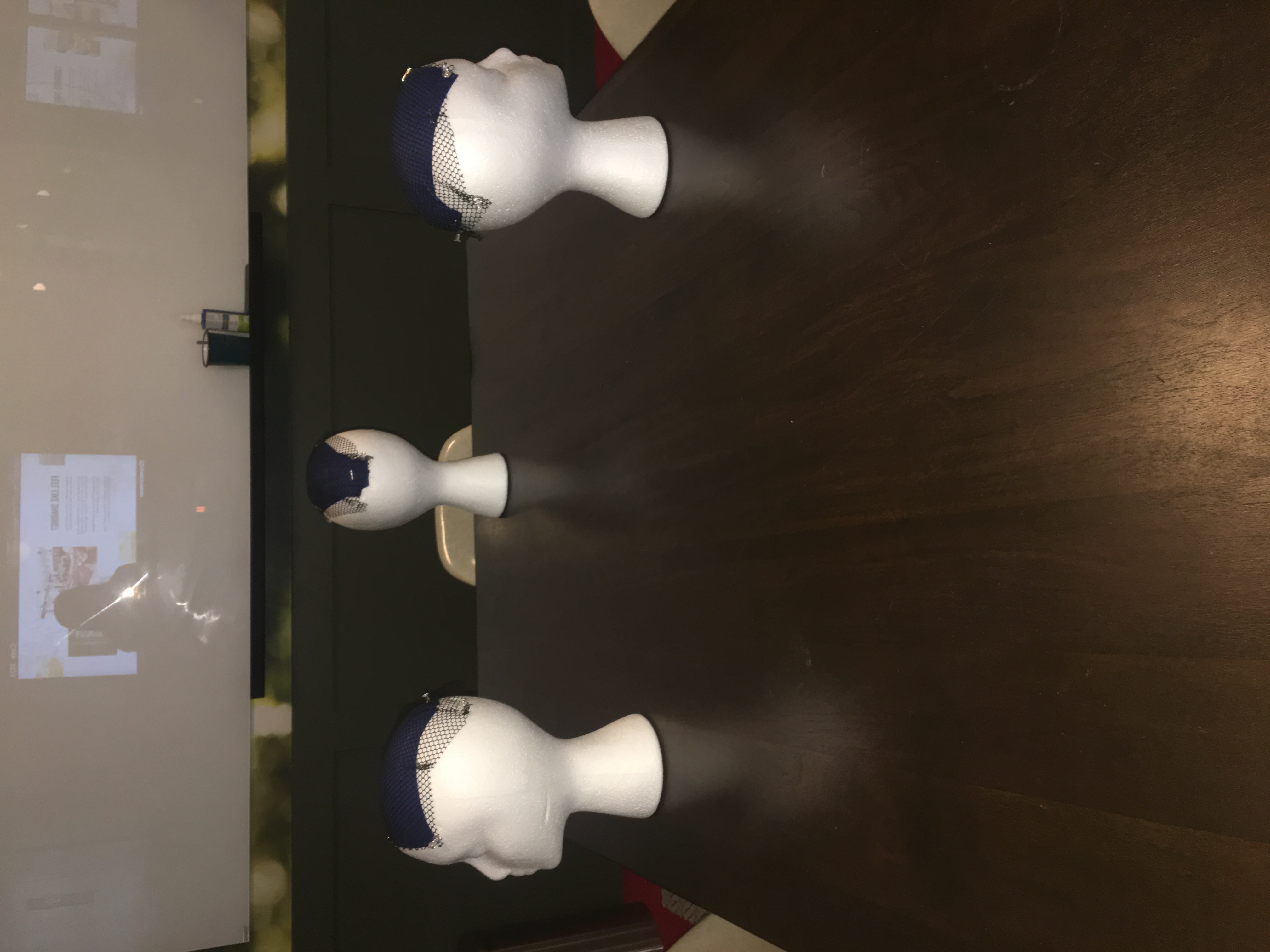 Intro- Wig Ventilation for Beginners