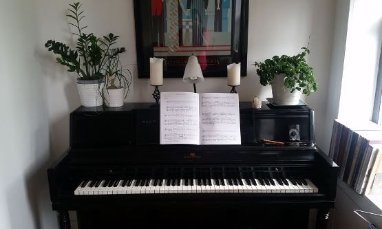 Virtual Singing Lesson (Ala-Carte 30-minute)