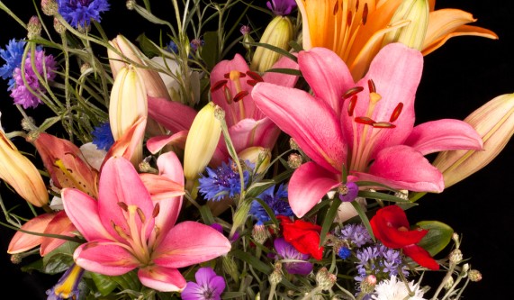 3D Flower Painting for Beginners