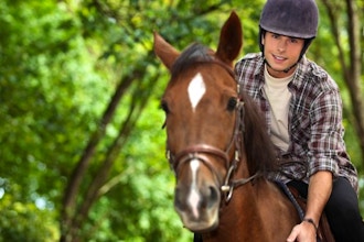 Introduction to Horseback Riding