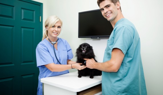 Veterinary Assistant [Class in Los Angeles] Los Angeles City College