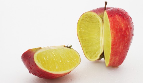 Spring Detox for Weight Loss and Vitality
