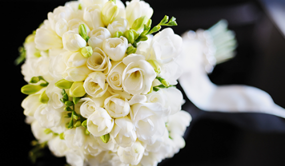 Floral Design II